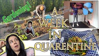 A Week in my Life- Follow Trendy #trendy #QUARENTINEVLOG #homebody