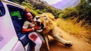 When Animals Go On A Rampage Interesting Animal Moments CAUGHT ON CAMERA