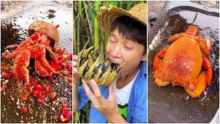 Monster? Spider Conch Or Crab? Chinese Mountain Forest Life And Food #Moo Tiktok #Fyp
