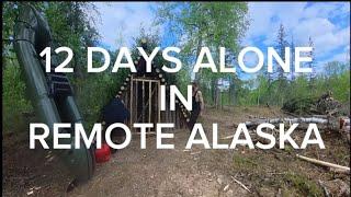 Pioneering My Alaska  A Homestead Documentary  Part 1