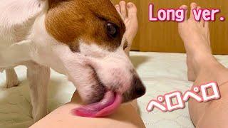 Dog licks my legs long ver. Omit the opening and ending