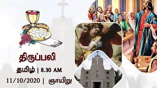 St.Michaels Church Shanthi Nagar Feast   Tamil Live Mass  11102020  Sunday  Fr. Devasagayam