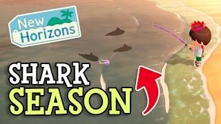 Animal Crossing New Horizons SHARK SEASON & New Mystery Island How To Find RARE Sharks Details