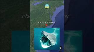 Huge sharkon Google Earth #armkien #googleearth #googlemaps