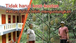 KEBUN DURIAN LEBIH MENGUNTUNGKAN DARI KOST-KOSTAN