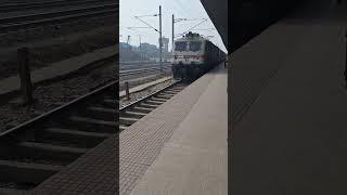 Why loco pilot dont stop train after seeing animal on track? #indianrailways #yt #shorts #travel