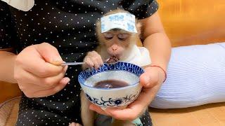 Monkey Puka is sick Mom helps him get better with black bean soup