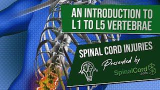 Spinal Cord Injuries L1 L2 L3 L4 & L5 Vertebrae Explained. Symptoms Recovery Causes Prognosis