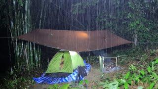 camping นอนป่าดิบชื้น ท่ามกลางพายุฝนกระหน่ำทั่งคืน ลมแรง ต้องนอนทั่งเปียก  ep.240