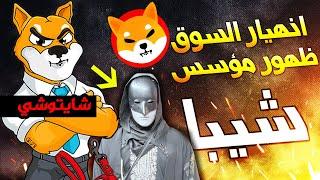 مؤسس عملة شيبا اينو يكشف عن نفسه لأول مرة ويتحدث عن مستقبل المشروع  سبب هبوط بيتكوين والعملات