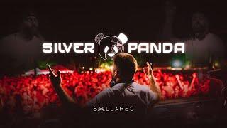 Silver Panda @ Sollares 12923