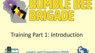 Bumble Bee Brigade Training Part 1- Introduction