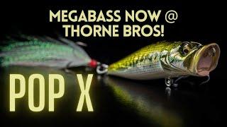 Megabass is now in Thorne Brothers