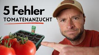 Tomaten aussäen und vorziehen 5 fatale FEHLER.