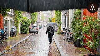 Walking in the Rain in Amsterdam 4K ASMR