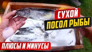 Сухой посол рыбы Вопросы и ответы Плюсы и минусы