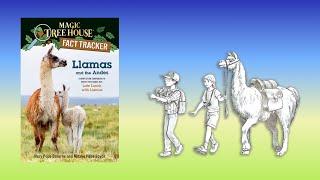 Llamas & the Andes Nonfiction Companion - Magic Tree House #34 Late Lunch w Llamas READ ALOUD