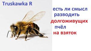 #Пчёлы. Что будет если долгоживущих пчёл отправить за мёдом? Принесут больше или нет?