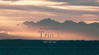 Pedro Macedo Camacho - Trio 1 midi preview