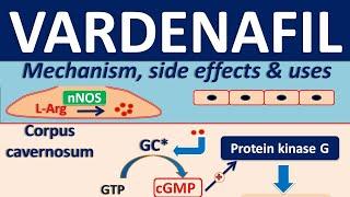 Vardenafil - Mechanism side effects drug interactions and clinical uses