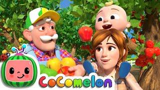 Counting Apples At The Farm  CoComelon Nursery Rhymes & Kids Songs