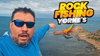 CAVY FISHING Lures Unbelievable From THE ROCKS