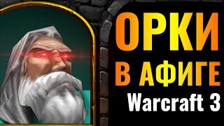 ОРКИ В ПАНИКЕ ТОП-1 игрок за Паладина В МИРЕ против ОРДЫ в Warcraft 3 Reforged