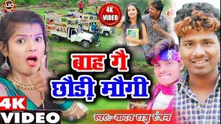 बाह गै छौड़ी मौगी  Baha Gae Chhauri Maugi  Yadav Raju Ranjan  2021 ka superhit video licmusic