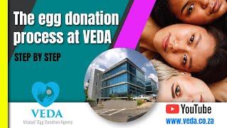 EGG DONATION AGENCY PROCESS - VEDA - VITALAB