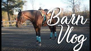 A Barn Vlog  EquestrianBliss