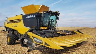 A New Claas Combine Harvesting