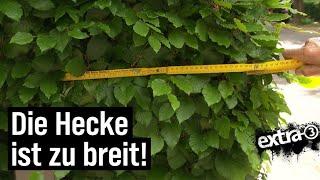 Realer Irrsinn Zu breite Hecke in Ahrensburg  extra 3  NDR