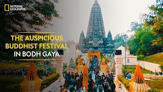 The Auspicious Buddhist Festival in Bodh Gaya  India’s Mega Kitchens  National Geographic