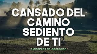 CANSADO DEL CAMINO - ADORACIONES Y ALABANZAS PODEROSAS PARA ORAR - ALABANZAS 2024