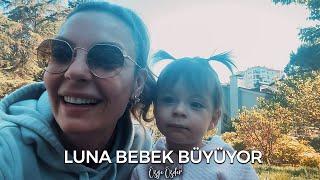 Luna Bebek Büyüyor...