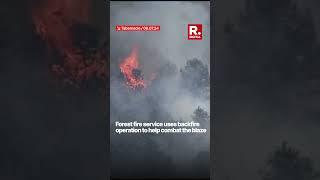 Massive Wildfire Engulfs New Jerseys Wharton State Forest  Watch