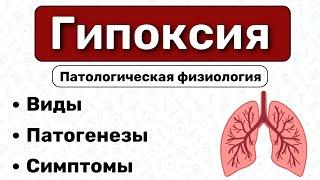 Гипоксия виды патогенез парциальные давления  Патологическая физиология