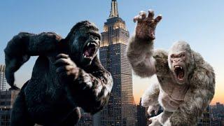 Kong 2005 vs. George