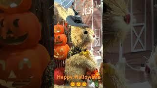 Happy Halloween #shorts#shortvideo#trending#trendingshorts#video#youtubeshorts#halloween#cute#love