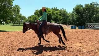 Mal Morgan - Stella - WTL Ranch Pleasure Green Horse 