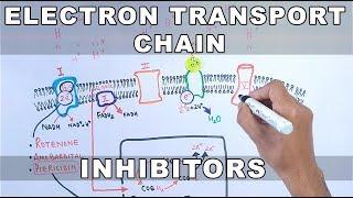 Inhibitors of Electron Transport Chain