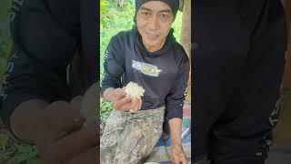 menikmati buah durian habis berburu tupai