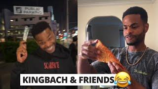 KingBach & Friends  Dont trust these bushes 