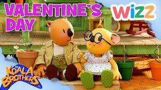 @KoalaBrothersTV  Valentines Day ️  #compilation   TV for Kids   @Wizz          ​