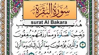 سورة البقرة جمال شاكر عبد الله Surah Al Bakara jamal shaker برواية حفص عن عاصم