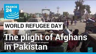 World Refugee Day The plight of Afghan refugees in Pakistan • FRANCE 24 English