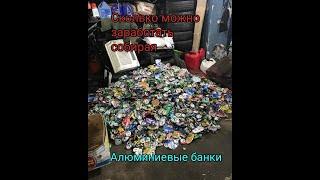 Сколько можно заработать если собирать алюминиевые банки