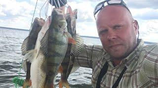 Рыбалка на ЯУЗСКОМ ВДХР Ловля СУДАКА и ОКУНЯ на ДЖИГ Поиск рыбы по эхолоту Июль 2020