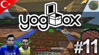 AVCI NİYE ÇALIŞMIYOO - Minecraft Yogbox - Bölüm 11