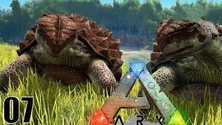 COMBAT DE DINOSAURES   ARK Survival Evolved  #Ep7